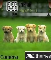 Dogs Themes