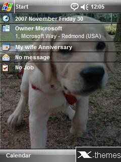 Labrador Puppy Windows Mobile