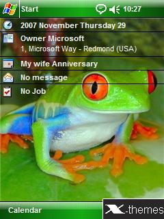 Red Eye Tree Frog Themes