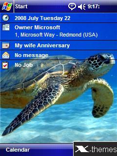 Sea Turtle Windows Mobile